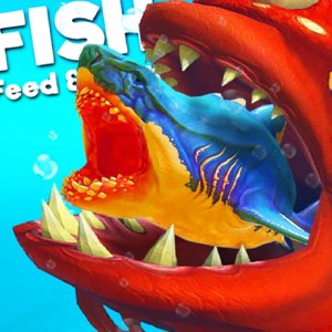 Fish Eat Feed And Grow